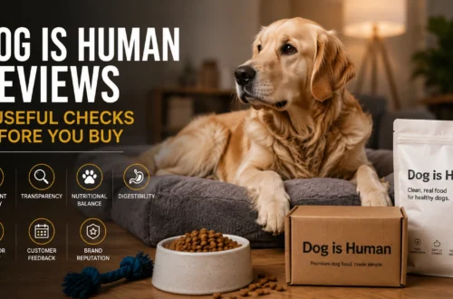 Dog is Human Reviews: 7 useful checks before you buy